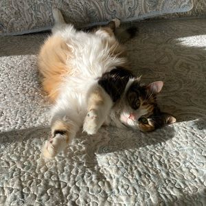 Meet your Posher, Kaci